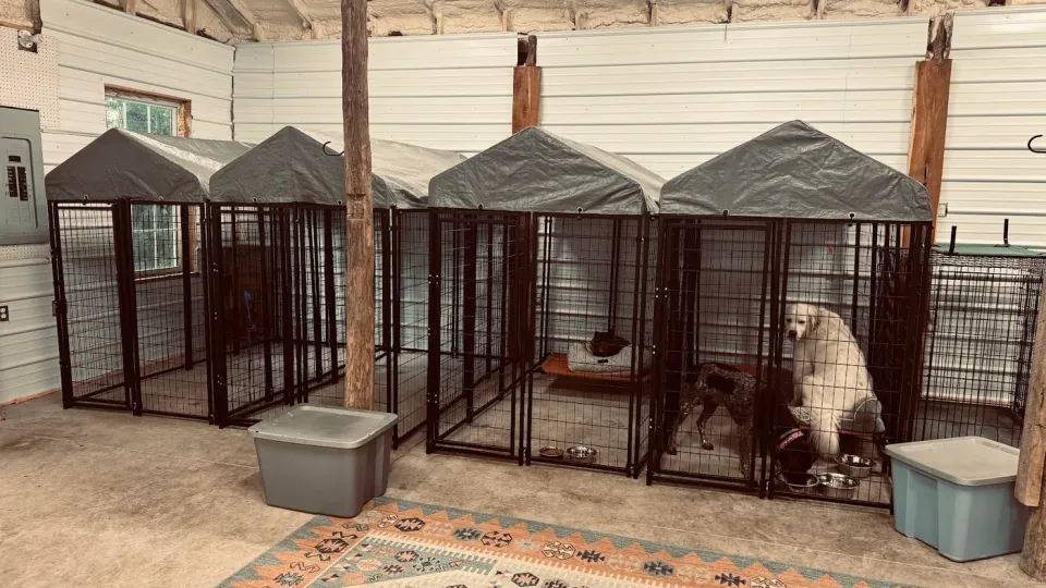 Spacious indoor kennel suites with dogs settled in for the night at SJ’s Dog Boarding in Morrison, TN