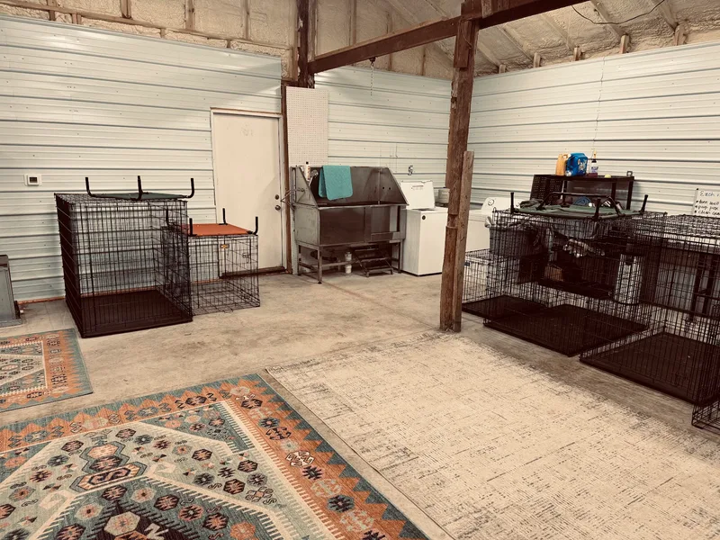 Roomy indoor kennel suites with rugs and bedding at SJ’s Dog Boarding in Morrison, TN