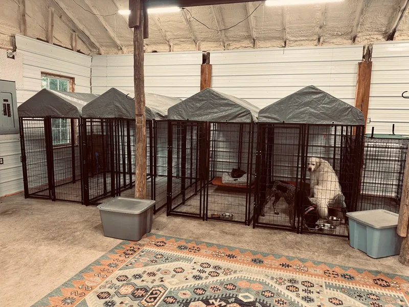 Dogs settled in the indoor kennel suites for the night