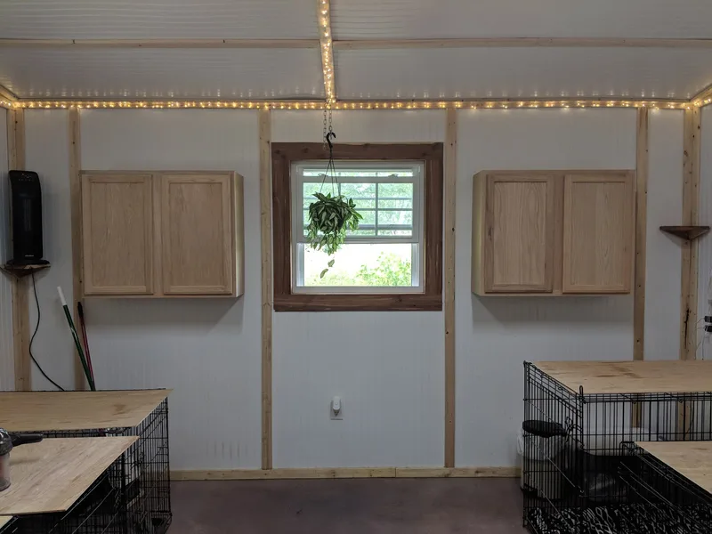 The indoor kennel room lit with string lights for the evening